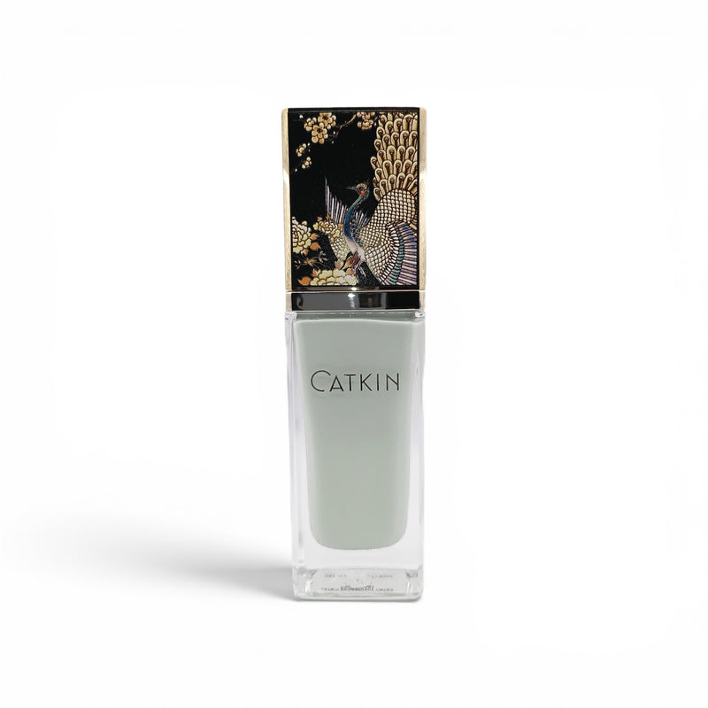 Catkin Primer